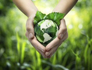 environnement